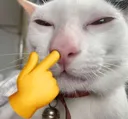 huuh