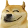 dogetroll