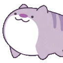 MeowNod