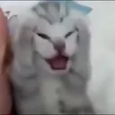 A_