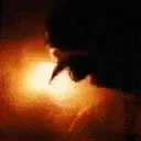 peninflamesuminekoezgif