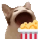 cateatingpopcorn