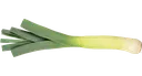 leek