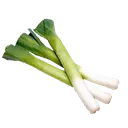 leek2