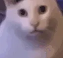 huh