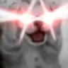lasercat