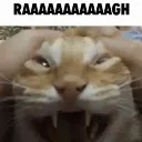 raaaaaaagh
