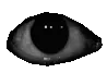 RunEyes