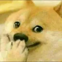 photo_4_20240320_170836