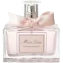 dolletteperfume