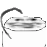 wharrgers