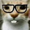 nerd