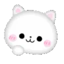 0091_cat_adorabl_itlnya