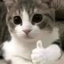 thumbsupkitty