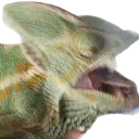 pogmin