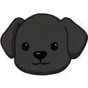 theblackdog