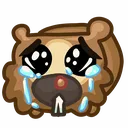 sadoof