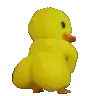dukshakey