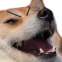 tiraevilkek