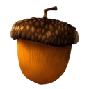 :acorn: