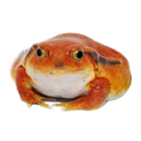 8a_frog_phrog Discord emoji