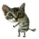 catdance animated emote from →﹐ ⛩ ﹒ Bazinga!!!﹒⟢