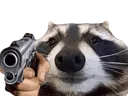 raccogun