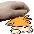 TailsBuhPet