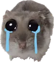 SadHampter