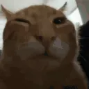 buh