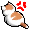 angycat
