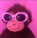 dt_cool_monke