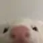 peek2