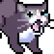 Cry Cat crycat Discord Emoji