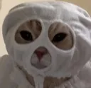 ghostyboo ghostyboo