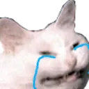 CattoCry