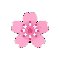 FlowerSpinBlossom