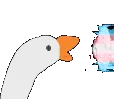 TransHonk