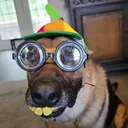 NerdWoofer