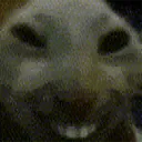 xddCaedrel