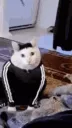BLYAT BLYAT