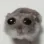 sadhamster sadhamster