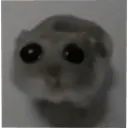 Png