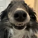 benji