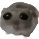 sadratata