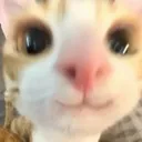 3_