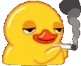 z_smokingduck z_smokingduck