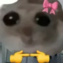 uwuhampter