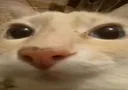 jotag jotag
