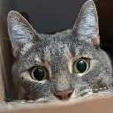 look